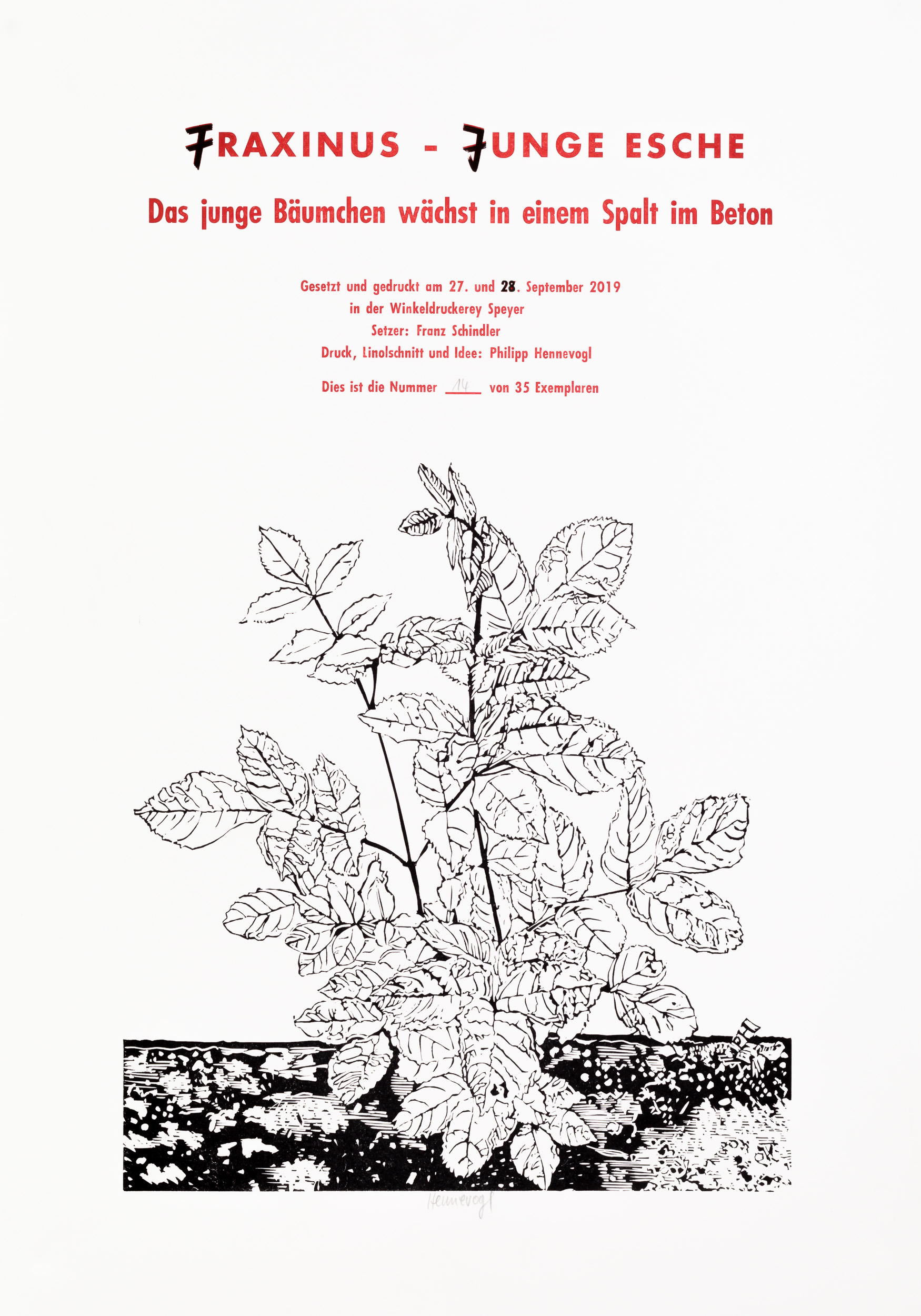 Philipp Hennevogl - Fraxinus, 2019 Linolschnitt und Typografie