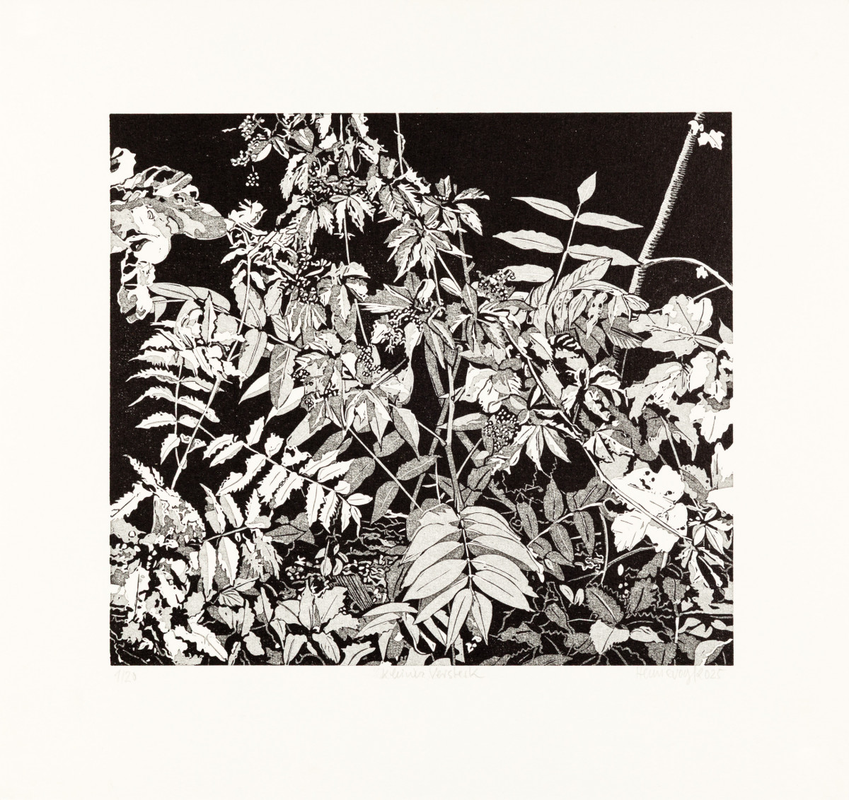 Philipp Hennevogl - Kleines Versteck, 2025 Linolschnitt