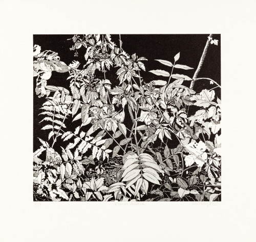 Philipp Hennevogl - Kleines Versteck, 2025 Linolschnitt