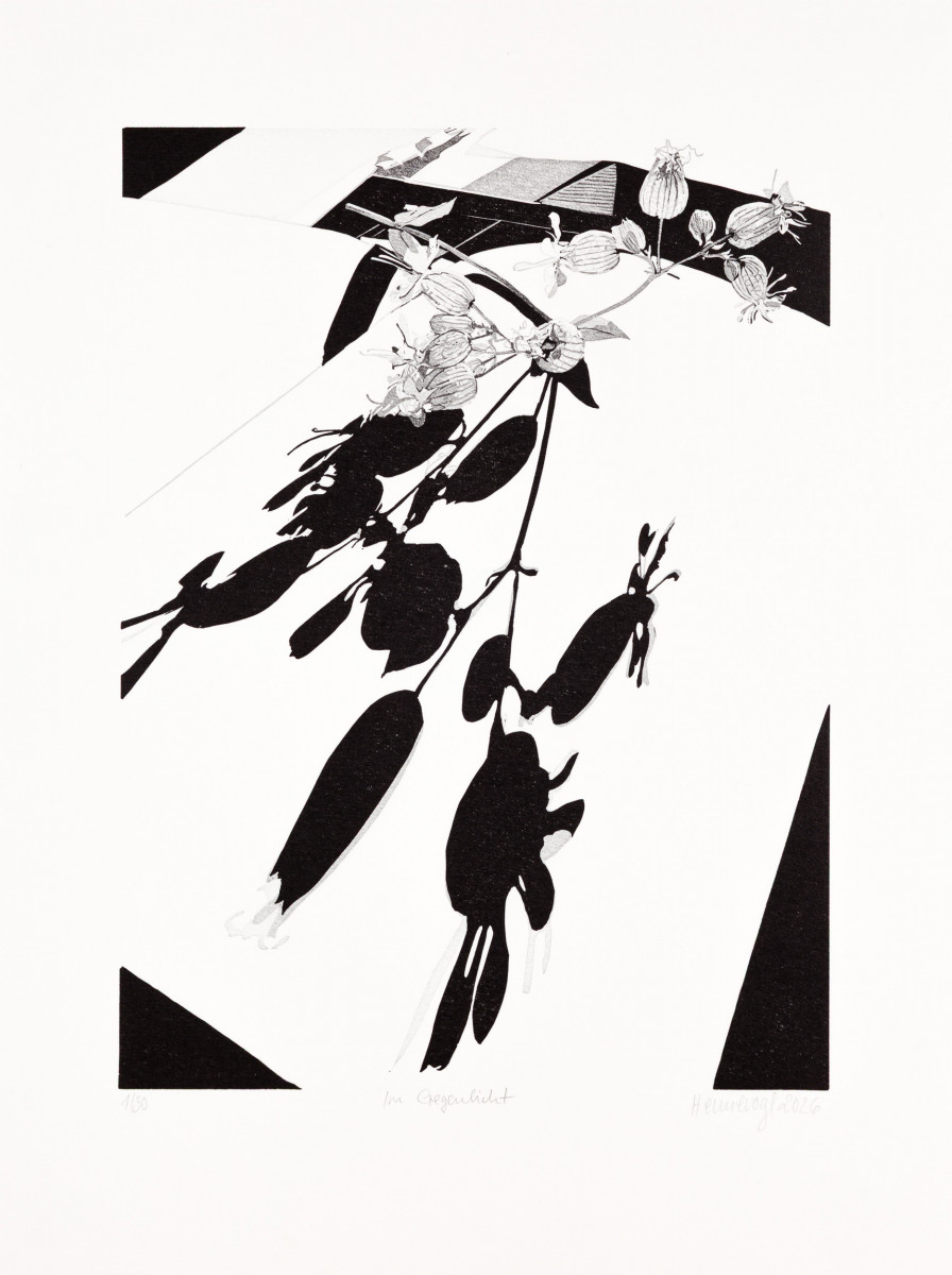 Philipp Hennevogl - Im Gegenlicht, 2026 Linolschnitt